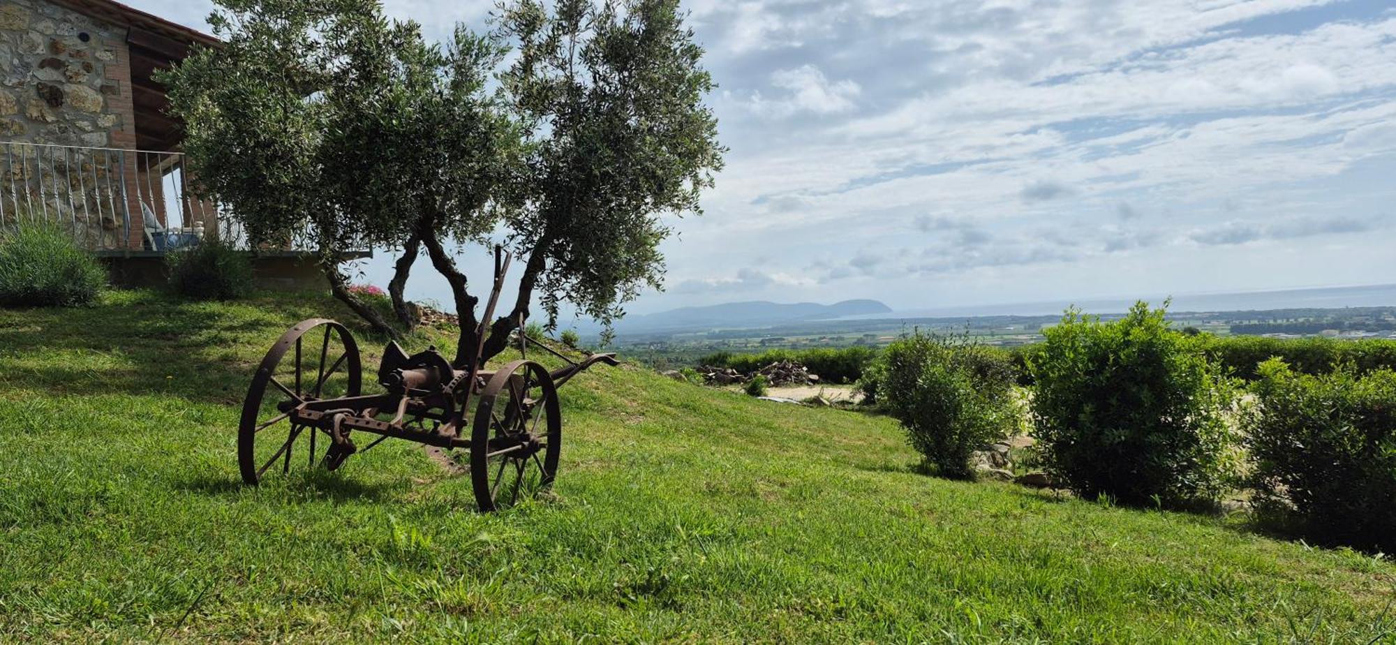Agriturismo Suite Del Conte San Vincenzo Exteriör bild